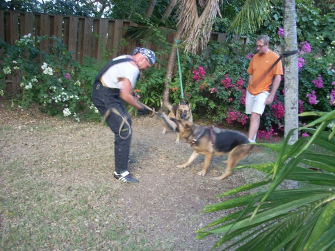 Seminar on Virgin Islands 2008